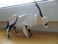 Gemsbok (Oryx) - Quentin Trollip.JPG