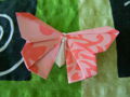 Origamido Butterfly.JPG
