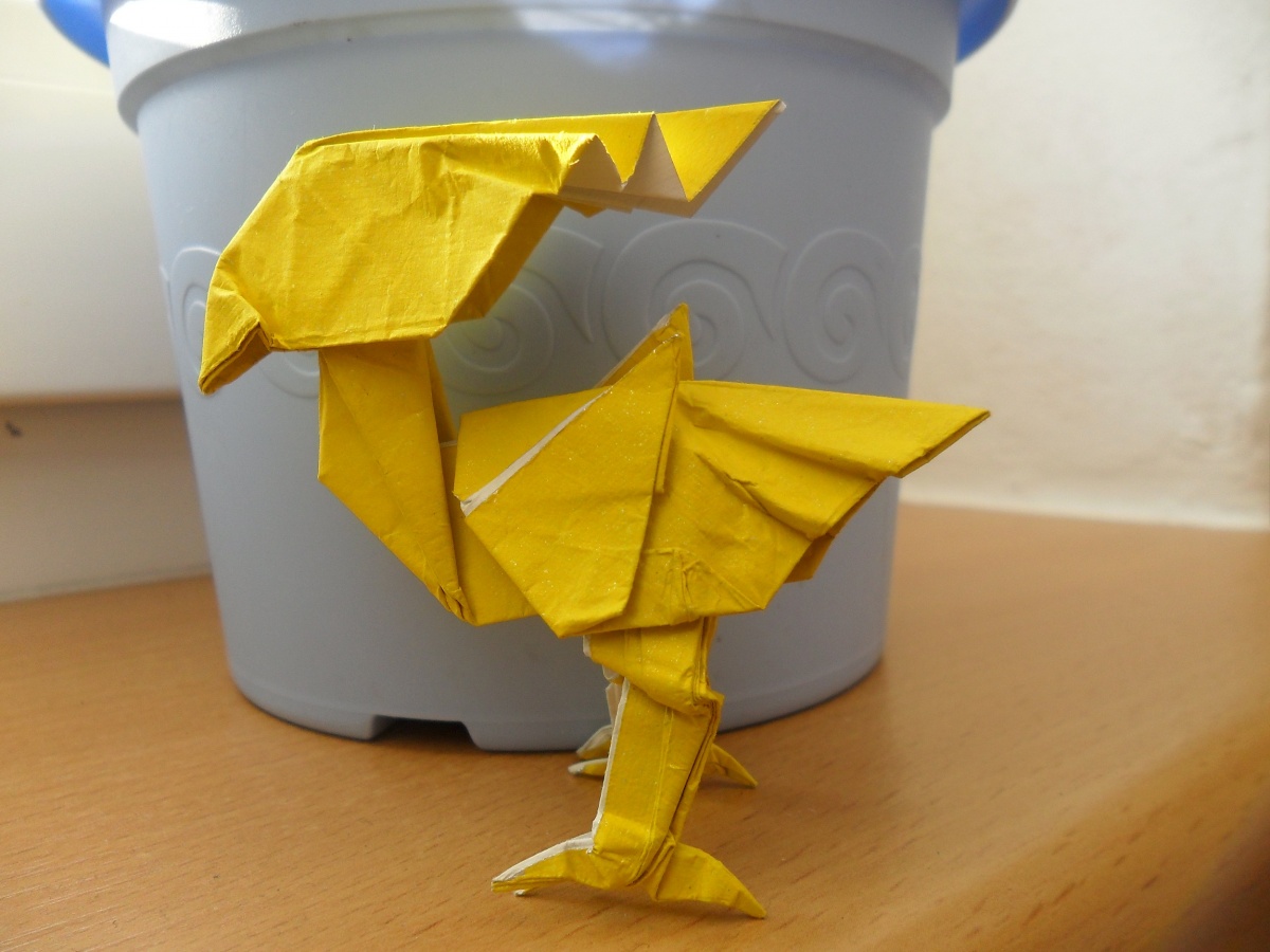 Soubor:Chocobo.JPG – OrigamiCZ